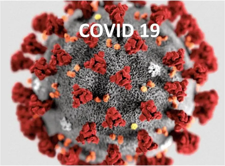 Covid-19 : Communiqué